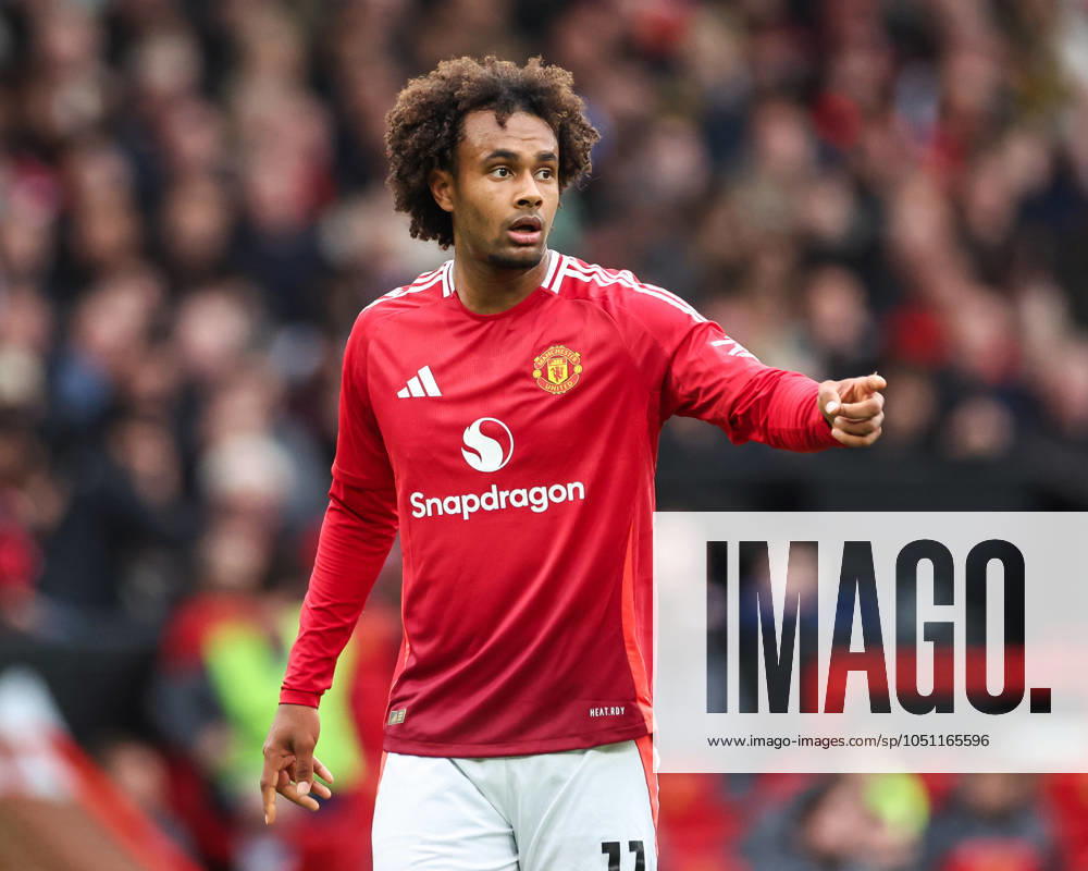 Premier League Manchester United, ManU v Tottenham Hotspur Joshua Zirkzee of Manchester United gives his team instructions during the Premier League match Manchester United vs Tottenham Hotspur at Old Trafford, Manchester, United Kingdom, 29th September 2024 (Photo by Mark Cosgrove News Images)