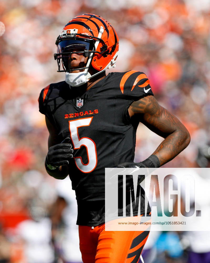 CINCINNATI, OH - OCTOBER 06: Cincinnati Bengals wide receiver Tee Higgins (5) during the game against the Baltimore Ravens and the Cincinnati Bengals on October 6, 2024, at Paycor Stadium in Cincinnati, OH. (Photo by Ian Johnson Icon Sportswire) NFL, American Football Herren, USA OCT 06 Ravens at Bengals Icon241006071