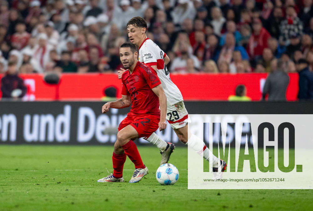 Fight for the ball duel between Raphael Guerreiro FC Bayern Muenchen, 22 and Anthony Rouault VfB Stuttgart, 29 GER, FC Bayern Muenchen vs VfB Stuttgart, Football, Bundesliga, Matchday 7, Season 2024 2025, 19 10 2024 GER, FC Bayern Muenchen vs VfB Stuttgart, Football, Bundesliga, Matchday 7, Season 2024 2025, 19 10 2024 Muenchen