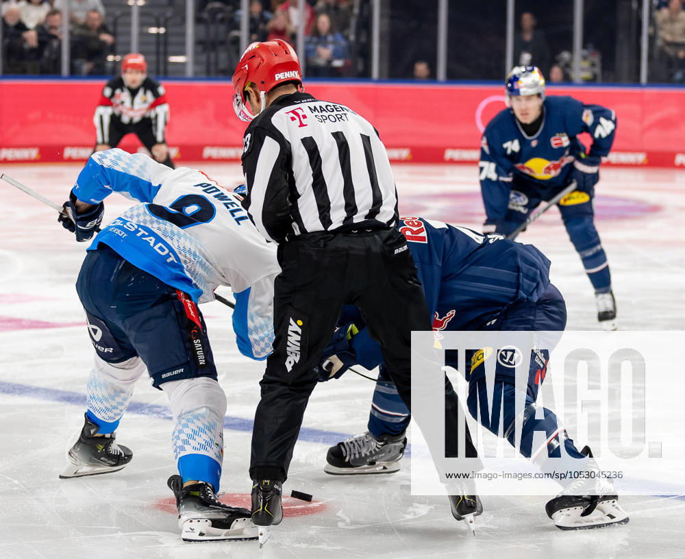 Linesman David Tschirner takes a faceoff between Myles Powell ERC Ingolstadt Panther, 9 and Ben Smith EHC Red Bull Muenchen, 12 GER, EHC Red Bull Muenchen vs ERC Ingolstadt Panther, Ice Hockey, DEL, Matchday 13, Season 2024 2025, 27 10 2024 GER, EHC Red Bull Muenchen vs ERC Ingolstadt Panther, Ice Hockey, DEL, Matchday 13, Season 2024 2025, 27 10 2024 Muenchen
