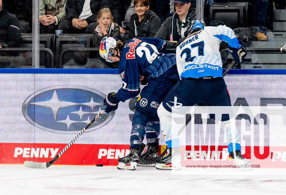 Battle for the puck duel between Veit Oswald EHC Red Bull Muenchen, 27 and Niklas Huebner ERC Ingolstadt Panther, 27 GER, EHC Red Bull Muenchen vs ERC Ingolstadt Panther, Ice Hockey, DEL, Matchday 13, Season 2024 2025, 27 10 2024 GER, EHC Red Bull Muenchen vs ERC Ingolstadt Panther, Ice Hockey, DEL, Matchday 13, Season 2024 2025, 27 10 2024 Muenchen