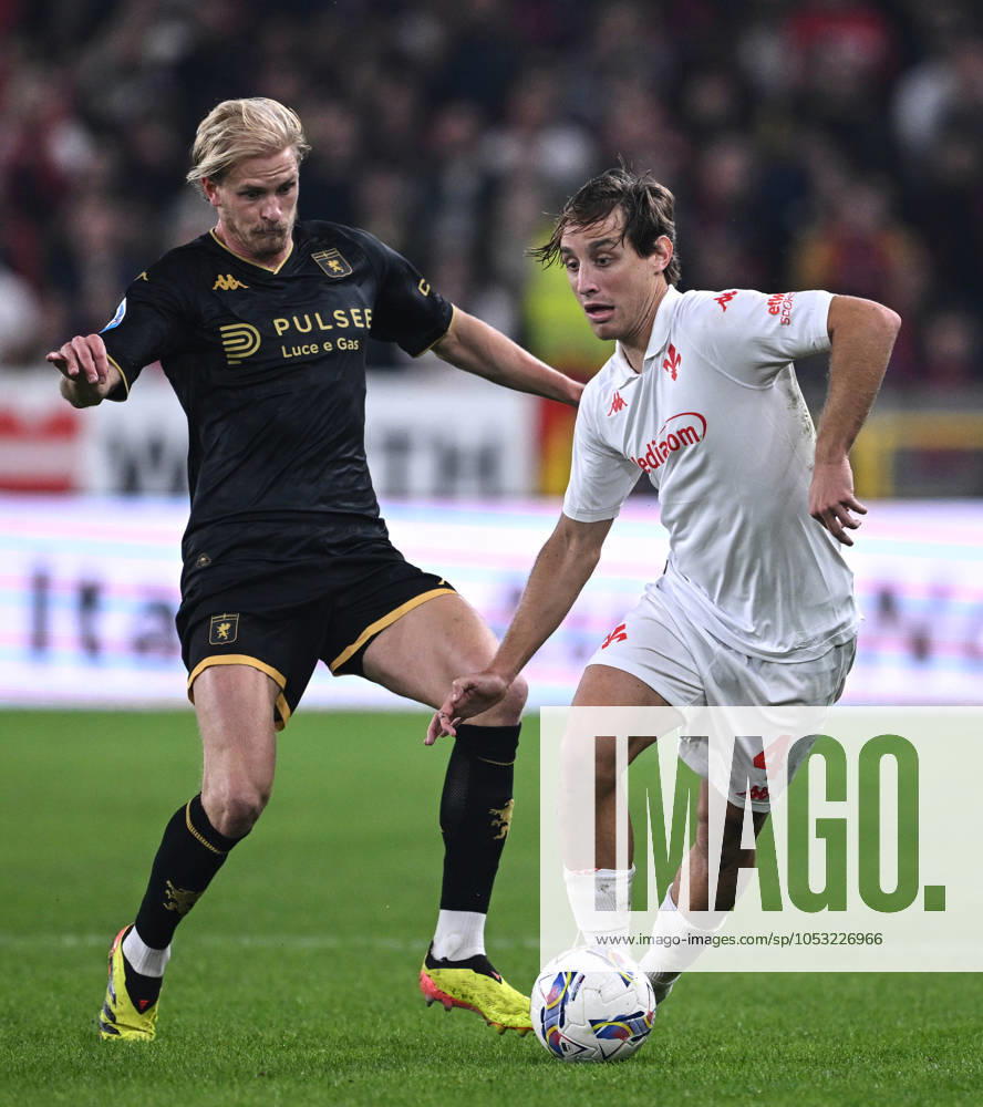 Mg Genova 31 10 2024 - campionato di calcio serie A Genoa-Fiorentina foto Matteo Gribaudi Image nella foto: Edoardo Bove-Morten Thorsby