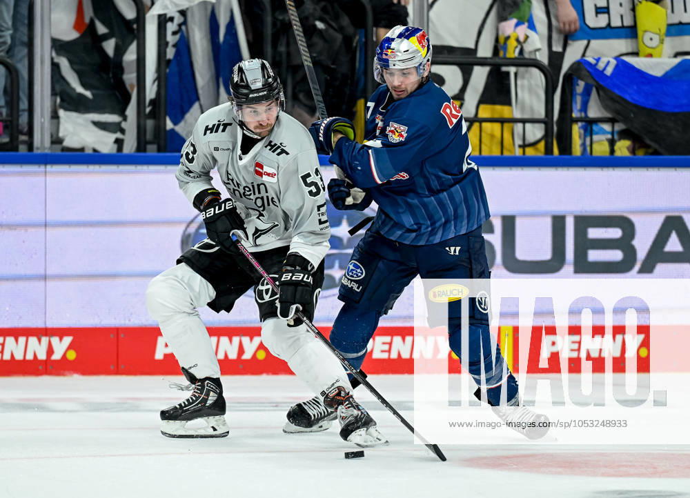 Battle for the puck duel between Adam Almquist Koelner Haie, 53 and Adam Brooks EHC Red Bull Muenchen, 77 GER, EHC Red Bull Muenchen vs Koelner Haie, Ice Hockey, DEL, Matchday 14, Season 2024 2025, 01 11 2024 GER, EHC Red Bull Muenchen vs Koelner Haie, Ice Hockey, DEL, Matchday 14, Season 2024 2025, 01 11 2024 Muenchen