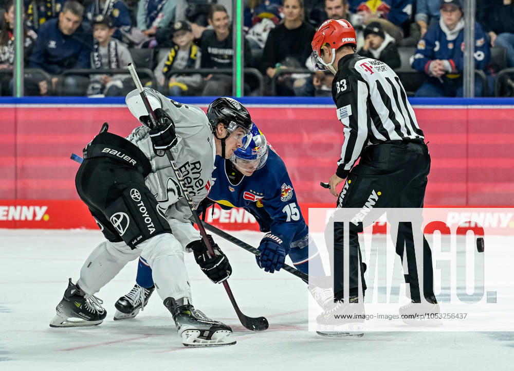 Linesperson David Tschirner executes a faceoff between Louis Marc Aubry Koelner Haie, 15 and Nikolaus Heigl EHC Red Bull Muenchen, 15 GER, EHC Red Bull Muenchen vs Koelner Haie, Ice Hockey, DEL, Matchday 14, Season 2024 2025, 01 11 2024 GER, EHC Red Bull Muenchen vs Koelner Haie, Ice Hockey, DEL, Matchday 14, Season 2024 2025, 01 11 2024 Muenchen