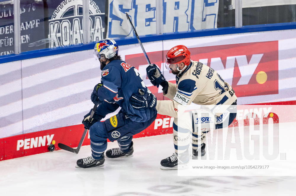 Fight for the puck duel between Dominik Bittner EHC Red Bull Muenchen, 3 and Mirko Hoefflin Schwenninger Wild Wings, 10 GER, EHC Red Bull Muenchen vs Schwenninger Wild Wings, Ice Hockey, DEL, Matchday 20, Season 2024 2025, 26 11 2024 GER, EHC Red Bull Muenchen vs Schwenninger Wild Wings, Ice Hockey, DEL, Matchday 20, Season 2024 2025, 26 11 2024 Muenchen
