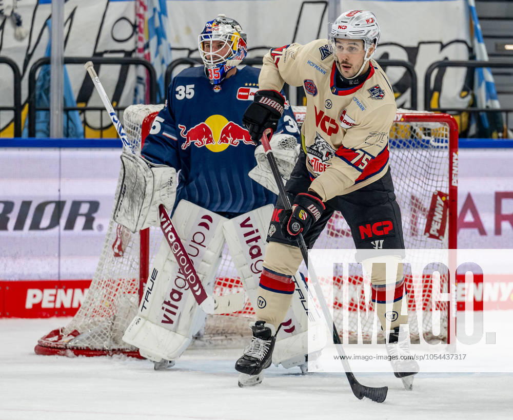 Samuel Dove McFalls Nuernberg Ice Tigers, 75 in front of Mathias Niederberger Goalkeeper, EHC Red Bull Muenchen, 35 GER, EHC Red Bull Muenchen vs Nuernberg Ice Tigers, Ice Hockey, DEL, Matchday 21, Season 2024 2025, 28 11 2024 GER, EHC Red Bull Muenchen vs Nuernberg Ice Tigers, Ice Hockey, DEL, Matchday 21, Season 2024 2025, 28 11 2024 Muenchen