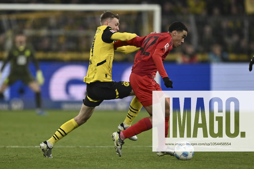 From left in duel Maximilian Beier Dortmund 14 Jamal Musiala Muenchen 42 30 11 2024 Soccer Borussia Dortmund vs FC Bayern Muenchen, Signal Iduna Park, Dortmund, DFB DFL REGULATIONS PROHIBIT ANY USE OF PHOTOGRAPHS AS IMAGE SEQUENCES AND OR QUASI VIDEO NRW Germany