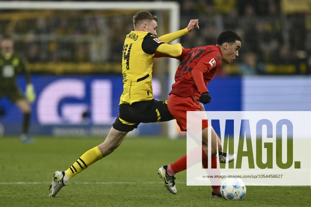 From left in duel Maximilian Beier Dortmund 14 Jamal Musiala Muenchen 42 30 11 2024 Soccer Borussia Dortmund vs FC Bayern Muenchen, Signal Iduna Park, Dortmund, DFB DFL REGULATIONS PROHIBIT ANY USE OF PHOTOGRAPHS AS IMAGE SEQUENCES AND OR QUASI VIDEO NRW Germany