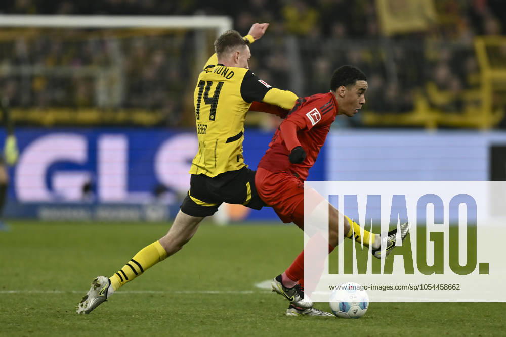 From left in duel Maximilian Beier Dortmund 14 Jamal Musiala Muenchen 42 30 11 2024 Soccer Borussia Dortmund vs FC Bayern Muenchen, Signal Iduna Park, Dortmund, DFB DFL REGULATIONS PROHIBIT ANY USE OF PHOTOGRAPHS AS IMAGE SEQUENCES AND OR QUASI VIDEO NRW Germany