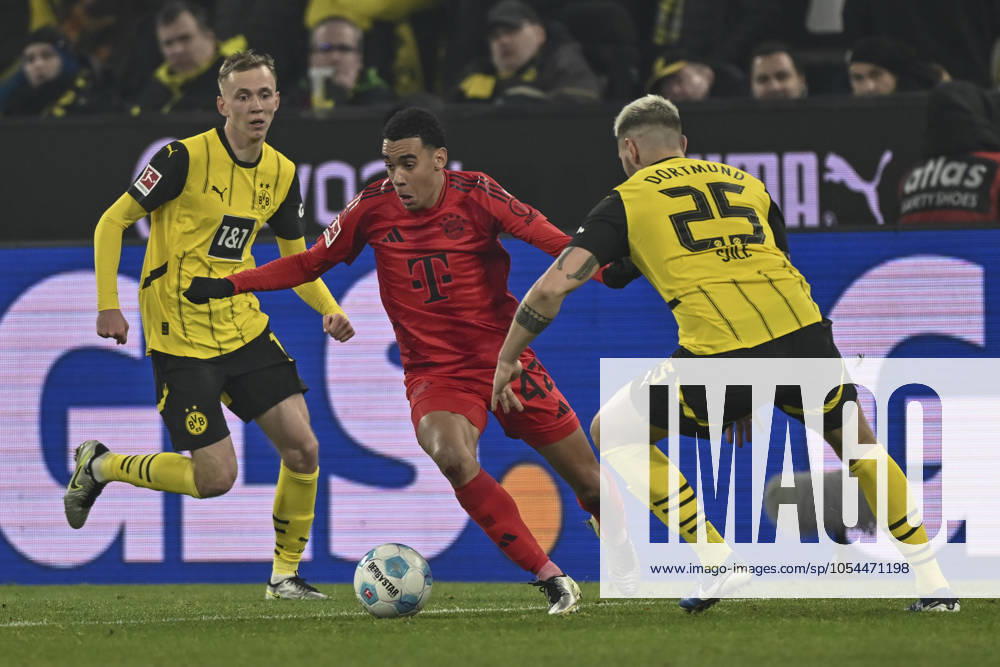 V li fighting for the ball Maximilian Beier Dortmund 14 Jamal Musiala Muenchen 42 Niklas Süle Suele Dortmund 25 30 11 2024 Football Borussia Dortmund vs FC Bayern Muenchen, Signal Iduna Park, Dortmund, DFB DFL REGULATIONS PROHIBIT ANY USE OF PHOTOGRAPHS AS IMAGE SEQUENCES AND OR QUASI VIDEO NRW Germany