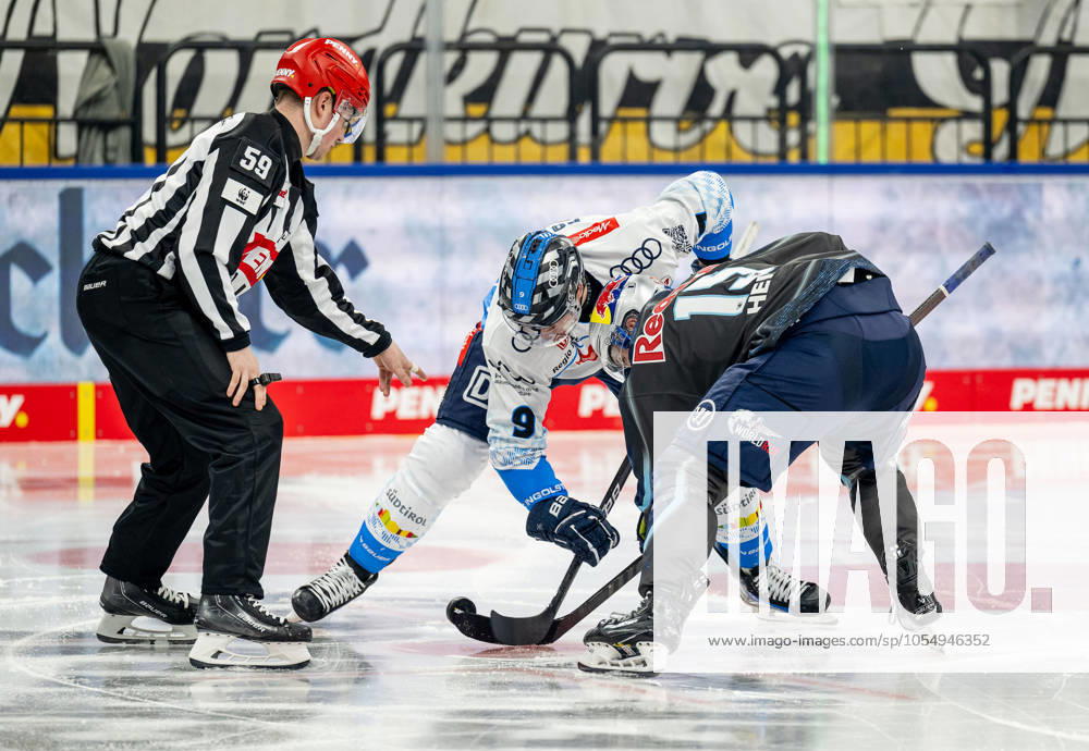 Linesperson Jonas Reinold takes a faceoff between Myles Powell ERC Ingolstadt Panther, 9 and Nikolaus Heigl EHC Red Bull Muenchen, 15 GER, EHC Red Bull Muenchen vs ERC Ingolstadt, Ice Hockey, DEL, Matchday 24, Season 2024 2025, 08 12 2024 GER, EHC Red Bull Muenchen vs ERC Ingolstadt, Ice Hockey, DEL, Matchday 24, Season 2024 2025, 08 12 2024 Muenchen