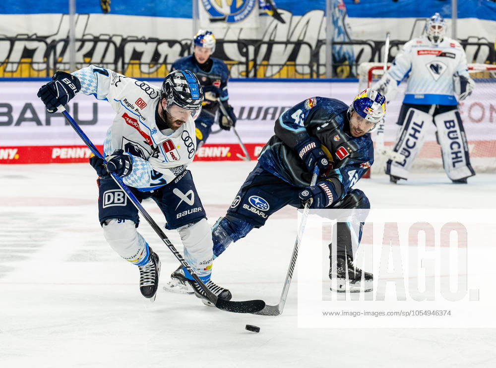Battle for the puck duel between Riley Sheen ERC Ingolstadt Panther, 91 and Yasin Ehliz EHC Red Bull Muenchen, 42 GER, EHC Red Bull Muenchen vs ERC Ingolstadt, Ice Hockey, DEL, Matchday 24, Season 2024 2025, 08 12 2024 GER, EHC Red Bull Muenchen vs ERC Ingolstadt, Ice Hockey, DEL, Matchday 24, Season 2024 2025, 08 12 2024 Muenchen