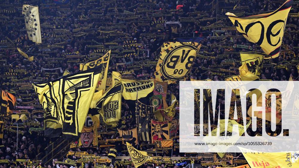 DORTMUND - Borussia Dortmund supporters during the UEFA Champions league match between Borussia Dortmund and FC Barcelona, Barca at the Signal Iduna Park on Dec. 11, 2024 in Dortmund, Germany. ANP Hollandse Hoogte UEFA Champions League 2024 25 League phase 6 2024 25 ANPxSportx xGerritxvanxKeulenxIVx 515703573 originalFilename: 515703573