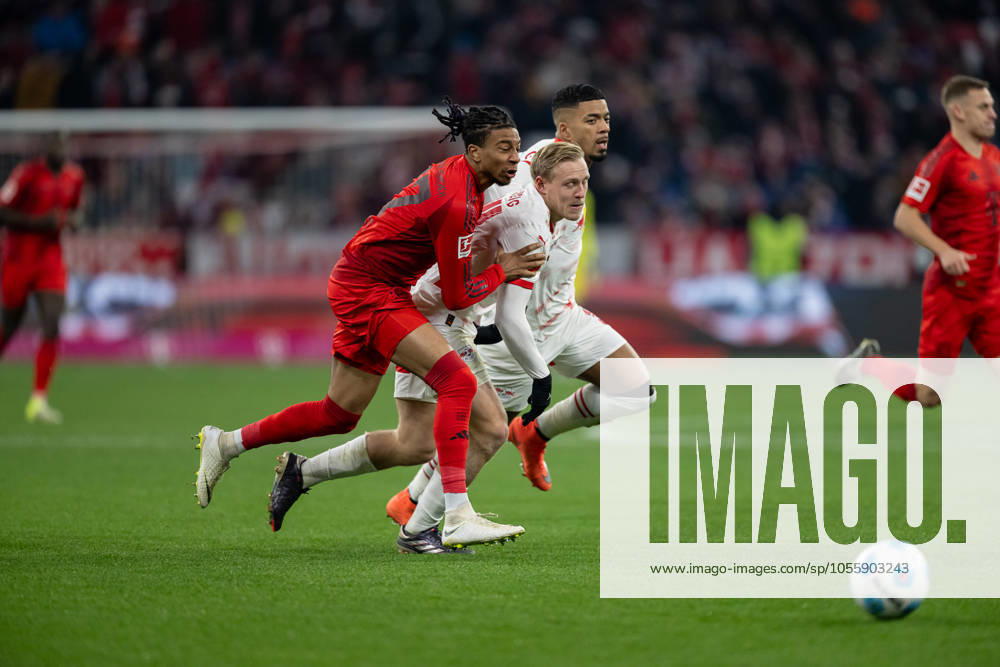 Battle for the ball duel between Michael Olise FC Bayern Muenchen, 17 with Xaver Schlager RB Leipzig, 24 and Benjamin Henrichs RB Leipzig, 39 GER, FC Bayern Muenchen vs RB Leipzig, Football, Bundesliga, Matchday 15, Matchday 2024 2025, 20 12 2024 GER, FC Bayern Muenchen vs RB Leipzig, Football, Bundesliga, Matchday 15, Matchday 2024 2025, 20 12 2024 Muenchen