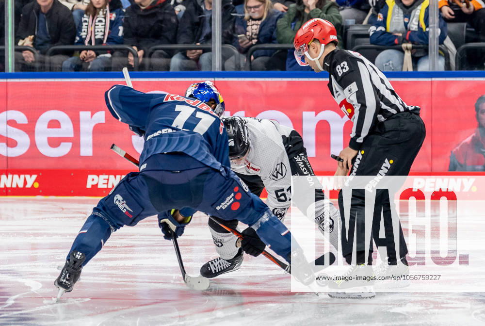 Linesperson David Tschirner executes a faceoff between Markus Eisenschmid EHC Red Bull Muenchen, 11 and Andy Miele Grizzlys Wolfsburg, 51 GER, EHC Red Bull Muenchen vs Grizzlys Wolfsburg, Ice Hockey, DEL, Matchday 32, Season 2024 2025, 30 12 2024 GER, EHC Red Bull Muenchen vs Grizzlys Wolfsburg, Ice Hockey, DEL, Matchday 32, Season 2024 2025, 30 12 2024 Muenchen
