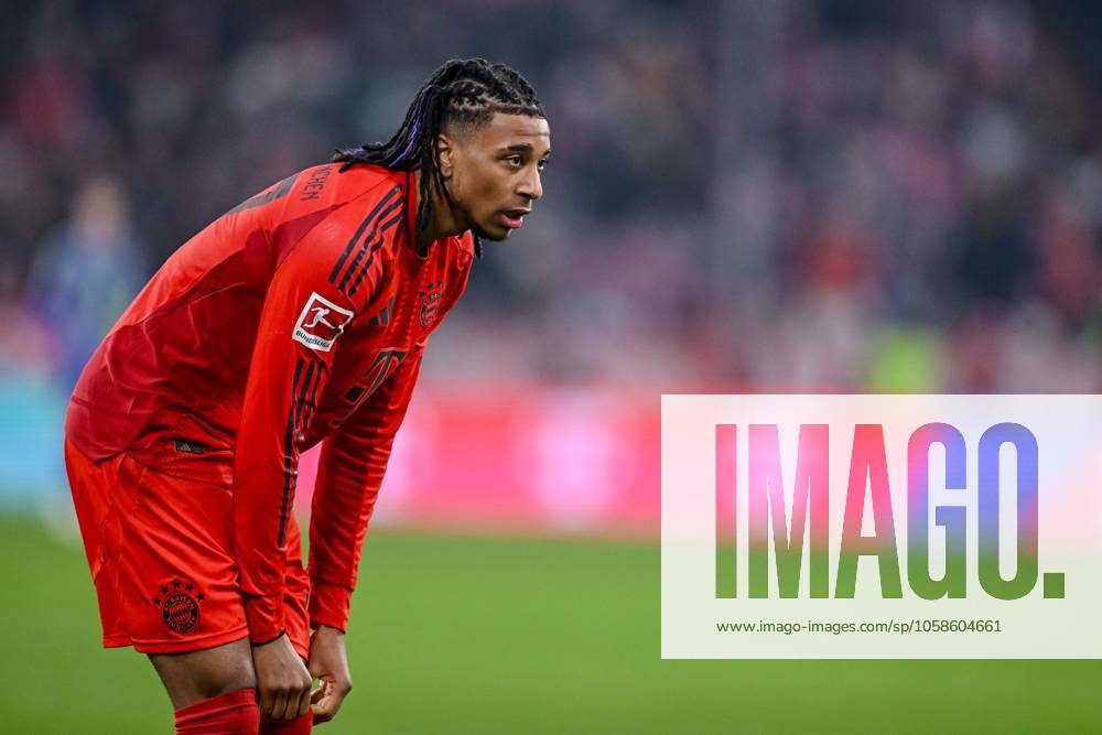 Michael Olise FC Bayern Muenchen Looks on during the Bundesliga match between FC Bayern München and SV Werder Bremen, Allianz Arena on 07 February 2025 in Munich, Germany Photo by Harry Langer DeFodi Images Michael Olise FC Bayern Muenchen Looks on during the Bundesliga match between FC Bayern München and SV Werder Bremen at Allianz Arena on February 7, 2025 in Munich, Germany Photo by Harry Langer DeFodi Images DFL regulations prohibit any use of photographs as image sequences and or quasi video Photo by Harry Langer DeFodi Images DFL regulations prohibit any use of photographs as image sequences and or quasi video Defodi 541 FCBSVW20250207 121 Defodi-541 DFL regulations prohibit any use of photographs as image sequences and or quasi-video.