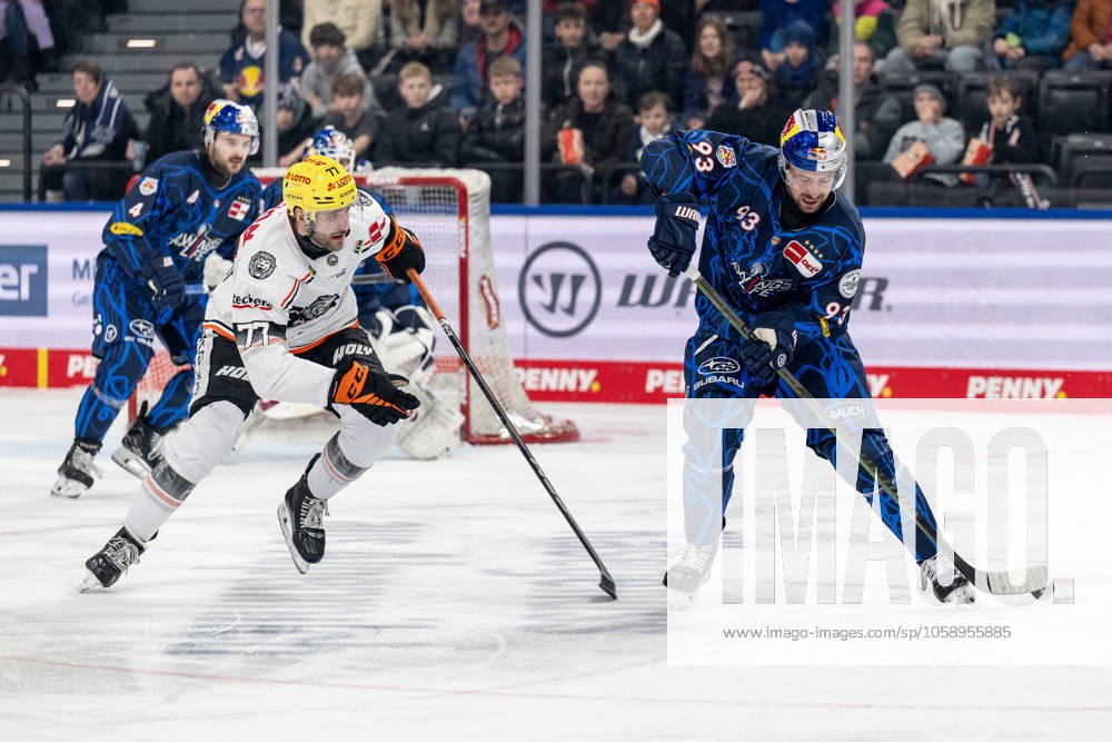Fight for the puck duel between Daniel Pfaffengut Loewen Frankfurt, 77 and Maximilian Kastner EHC Red Bull Muenchen, 93 GER, EHC Red Bull Muenchen vs Loewen Frankfurt, Ice Hockey, DEL, 45 Matchday, Season 2024 2025, 16 02 2025 GER, EHC Red Bull Muenchen vs Loewen Frankfurt, Ice Hockey, DEL, 45 Matchday, Season 2024 2025, 16 02 2025 Muenchen