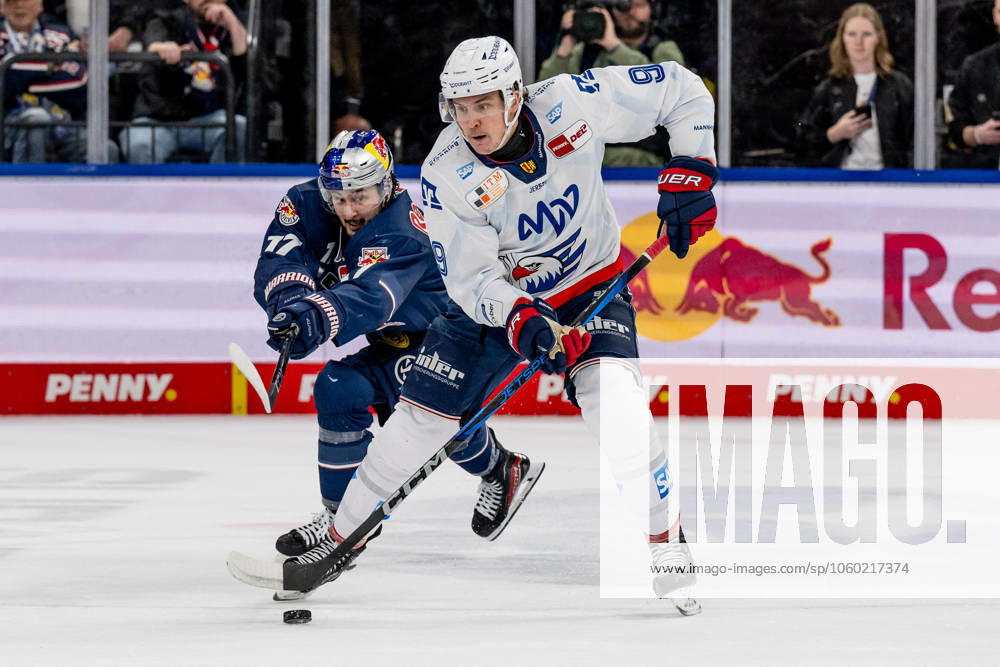 Battle for the puck duel between Taro Hirose EHC Red Bull Muenchen, 17 and Leon Gawanke Adler Mannheim, 9 GER, EHC Red Bull Muenchen vs Adler Mannheim, Ice Hockey, DEL, Playoffs, Quarterfinals Game 4, Season 2024 2025, 23 03 2025 GER, EHC Red Bull Muenchen vs Adler Mannheim, Ice Hockey, DEL, Playoffs, Quarterfinals Game 4, Season 2024 2025, 23 03 2025 Muenchen