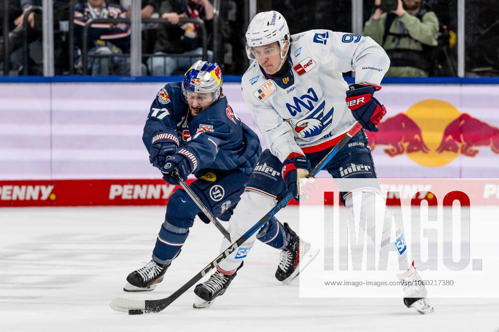 Battle for the puck duel between Taro Hirose EHC Red Bull Muenchen, 17 and Leon Gawanke Adler Mannheim, 9 GER, EHC Red Bull Muenchen vs Adler Mannheim, Ice Hockey, DEL, Playoffs, Quarterfinals Game 4, Season 2024 2025, 23 03 2025 GER, EHC Red Bull Muenchen vs Adler Mannheim, Ice Hockey, DEL, Playoffs, Quarterfinals Game 4, Season 2024 2025, 23 03 2025 Muenchen
