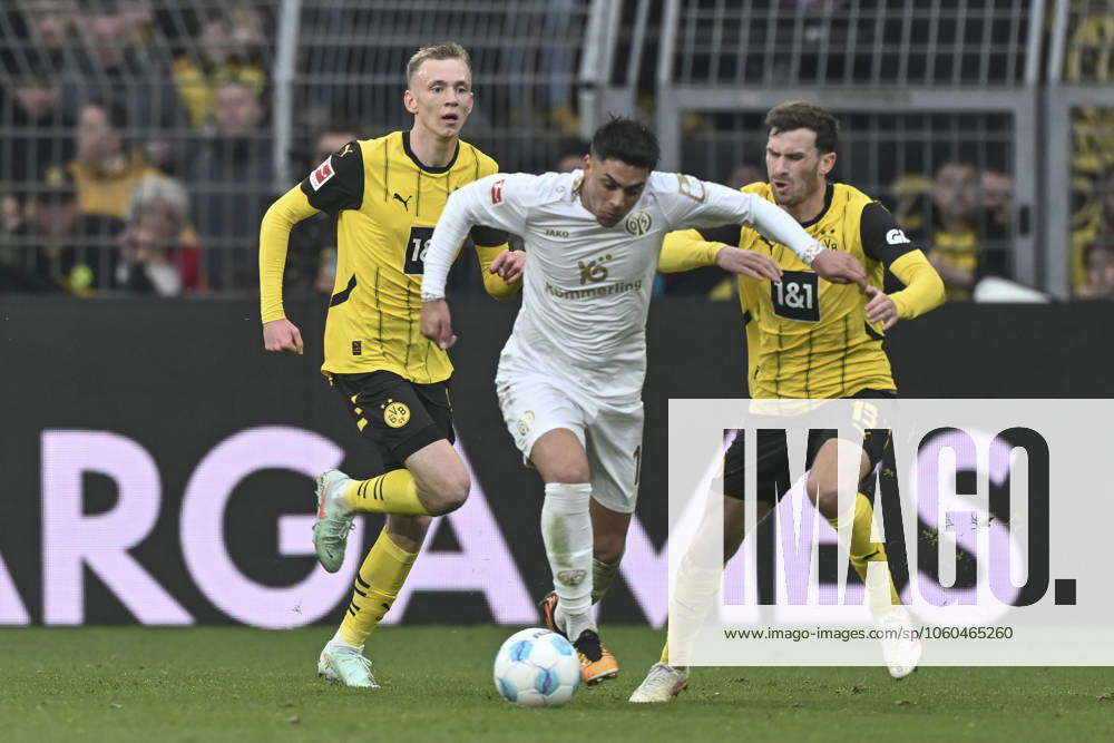 V li fighting for the ball Maximilian Beier Dortmund 14 Nadiem Amiri Mainz 18 Pascal Groß Dortmund 13 30 03 2025 Football Borussia Dortmund vs 1 FSV Mainz 05, Signal Iduna Park, Dortmund, DFB DFL REGULATIONS PROHIBIT ANY USE OF PHOTOGRAPHS AS IMAGE SEQUENCES AND OR QUASI VIDEO