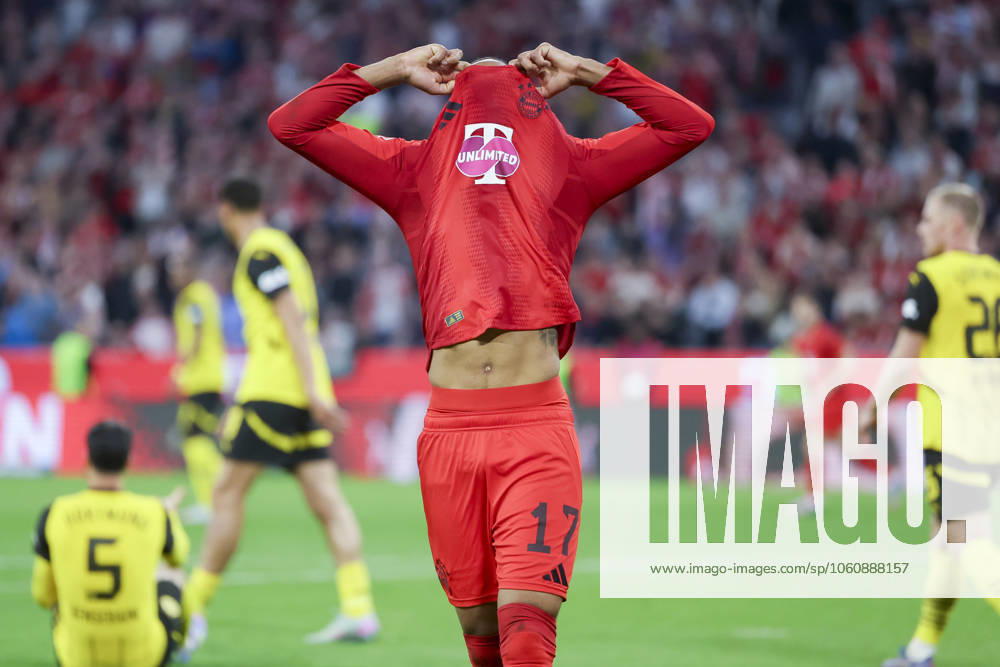 Michael Olise FC Bayern Muenchen looks dejected, Bundesliga, FC Bayern München v Borussia Dortmund, Allianz Arena on April 12, 2025 in Munich, Germany Photo by Marco Steinbrenner DeFodi Images Michael Olise FC Bayern Muenchen looks dejected, Bundesliga, FC Bayern München v Borussia Dortmund, Allianz Arena, April 12, 2025 in Munich, Germany Photo by Marco Steinbrenner DeFodi Images DFL regulations prohibit any use of photographs as image sequences and or quasi video