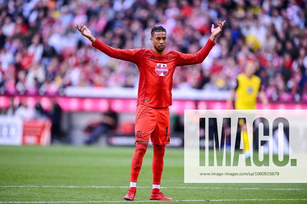Michael Olise FC Bayern Muenchen gestures, gestures during the Bundesliga match between FC Bayern München and Borussia Dortmund, Allianz Arena on April 12, 2025 in Munich, Germany Photo by Harry Langer DeFodi Images Michael Olise FC Bayern Muenchen gestures during the Bundesliga match between FC Bayern München and Borussia Dortmund at Allianz Arena on April 12, 2025 in Munich, Germany Photo by Harry Langer DeFodi Images DFL regulations prohibit any use of photographs as image sequences and or quasi video Photo by Harry Langer DeFodi Images DFL regulations prohibit any use of photographs as image sequences and or quasi video