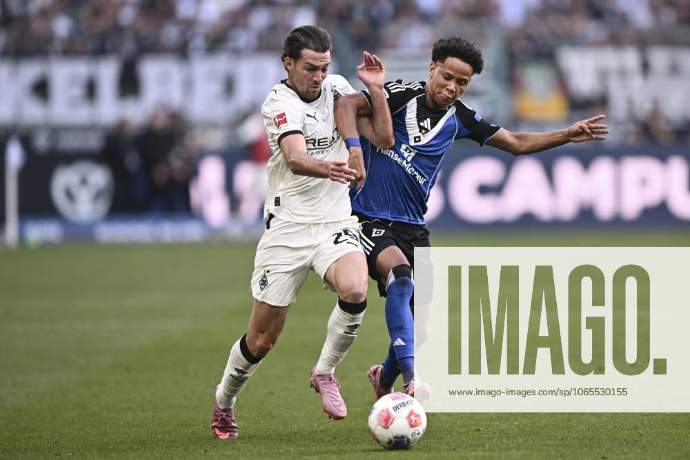 V li in duel Joe Scally Moenchengladbach 29 Alexander Rossing Lelesiit Hamburg 38 24 08 2025 Soccer Borussia Moenchengladbach vs Hamburger SV, Borussia Park, Moenchengladbach, DFB DFL REGULATIONS PROHIBIT ANY USE OF PHOTOGRAPHS AS IMAGE SEQUENCES AND OR QUASI VIDEO