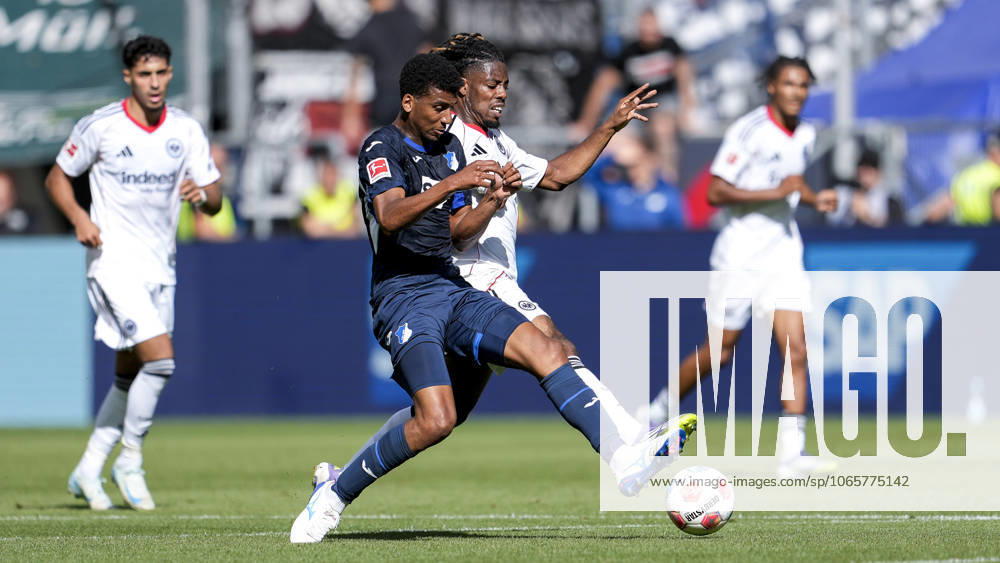 V li Bernardo Fernandes da Silva Junior Hoffenheim, 13 , Elye Wahi SGE, 17 , duel, duel scene, duel, tackle, tackling, dynamics, action, 30 08 2025, Sinsheim Germany , Football, Bundesliga, TSG 1899 Hoffenheim Eintracht Frankfurt, DFB DFL REGULATIONS PROHIBIT ANY USE OF PHOTOGRAPHS AS IMAGE SEQUENCES AND OR QUASI VIDEO