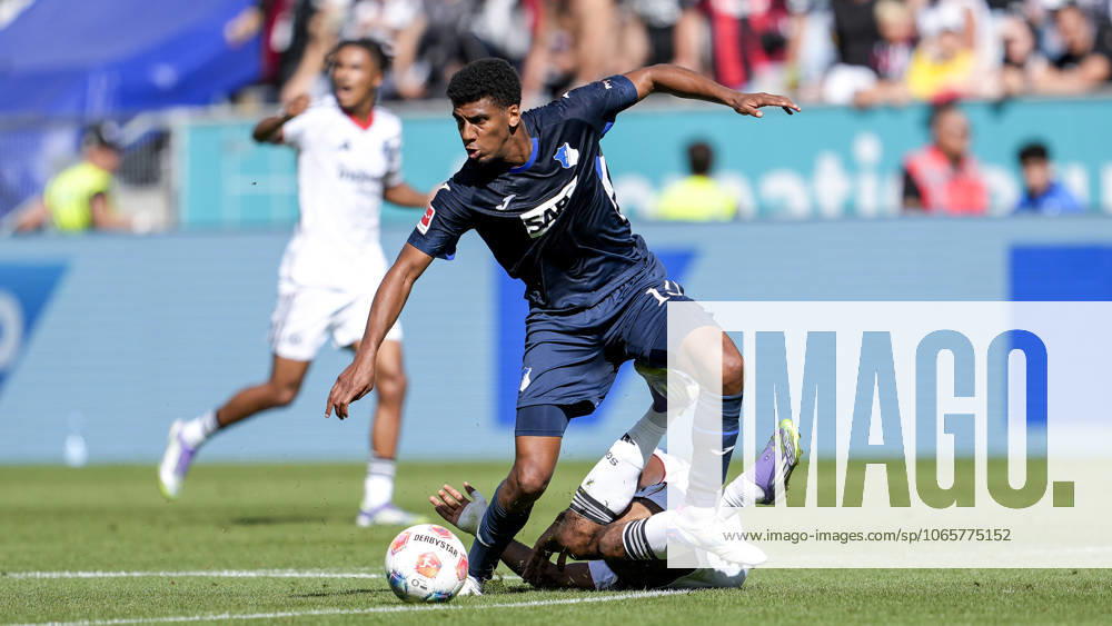 V li Bernardo Fernandes da Silva Junior Hoffenheim, 13 , Elye Wahi SGE, 17 , duel, duel scene, duel, tackle, tackling, dynamics, action, 30 08 2025, Sinsheim Germany , Football, Bundesliga, TSG 1899 Hoffenheim Eintracht Frankfurt, DFB DFL REGULATIONS PROHIBIT ANY USE OF PHOTOGRAPHS AS IMAGE SEQUENCES AND OR QUASI VIDEO
