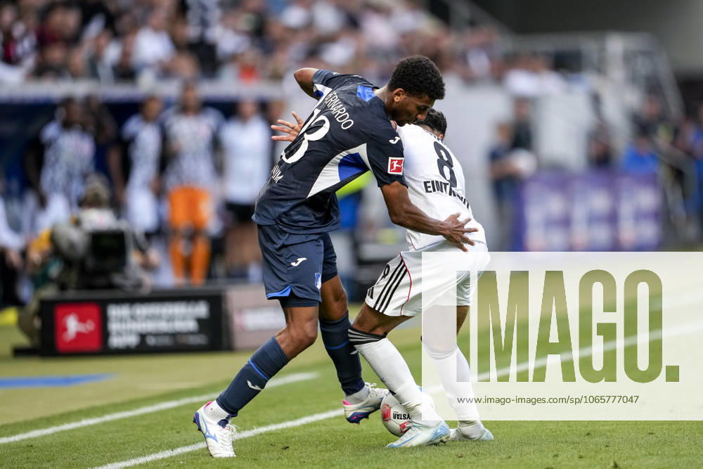 V li Bernardo Fernandes da Silva Junior Hoffenheim, 13 , Fares Chaibi SGE, 8 , duel, duel, tackle, tackling, dynamics, action, action, 30 08 2025, Sinsheim Germany , Football, Bundesliga, TSG 1899 Hoffenheim Eintracht Frankfurt, DFB DFL REGULATIONS PROHIBIT ANY USE OF PHOTOGRAPHS AS IMAGE SEQUENCES AND OR QUASI VIDEO