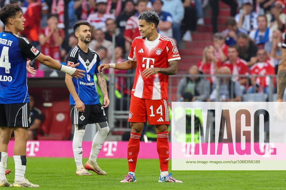 Goal celebration by Luis Diaz 14 FC Bayern Muenchen to 4 0, FC Bayern Muenchen vs Hamburger SV, Football, 3 Bundesliga, 3 Matchday, 13 09 2025 DFB regulations prohibit any use of photographs as image sequences and or quasi video Muenchen Bayern Germany