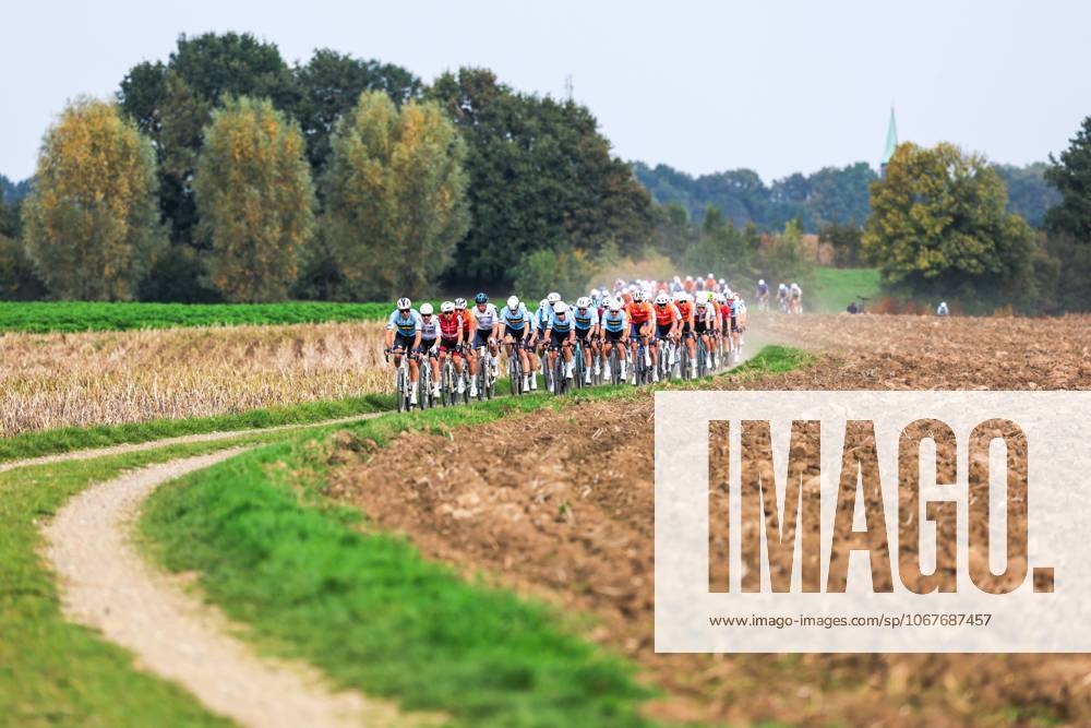 2025 UCI Gravel World Championships Picture by Alex Whitehead SWpix.com - 12 10 2025 - Cycling - 2025 UCI Gravel World Championships, Zuid-Limburg, Netherlands - Men Elite Race - The bunch Riders of Belgium (BEL)