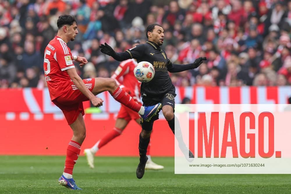 In duel, action, with Alexandar Pavlovic 45 FC Bayern Muenchen , Alexis Claude Maurice 20 FC Augsburg , FC Bayern Muenchen vs FC Augsburg, Football, 1 Bundesliga, 19 Matchday, 24 01 2026 DFB regulations prohibit any use of photographs as image sequences and or quasi video Muenchen Bayern Germany