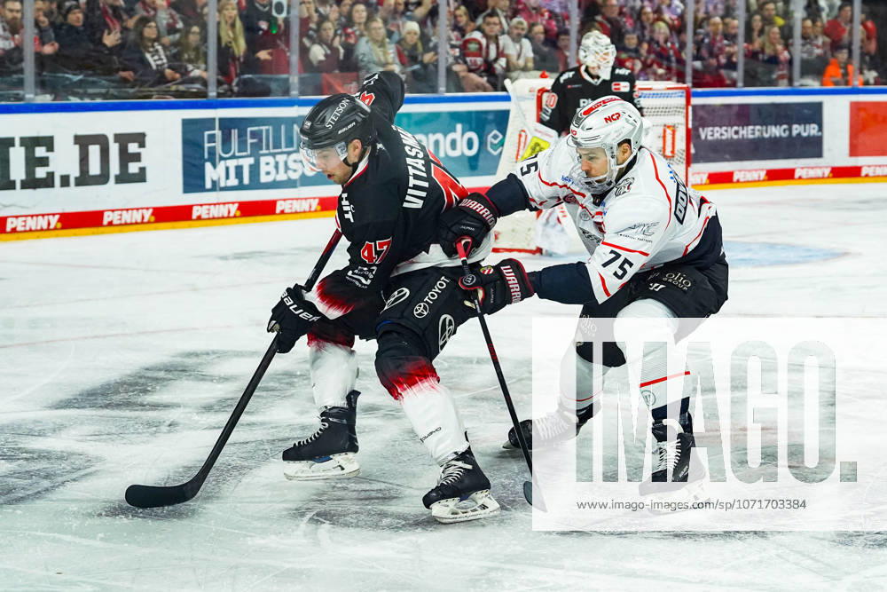 Ice Hockey Penny DEL 43 Matchday Cologne Sharks Nuremberg Ice Tigers on 25 01 2026 at the Lanxess Arena in Cologne Veli Matti Vittasmäki Cologne , left Samuel Dove McFalls Nuremberg , right According to the regulations of the DEL German Ice Hockey League, the publication and further use of the recordings in electronic media and end devices of all kinds during the ongoing game is not permitted