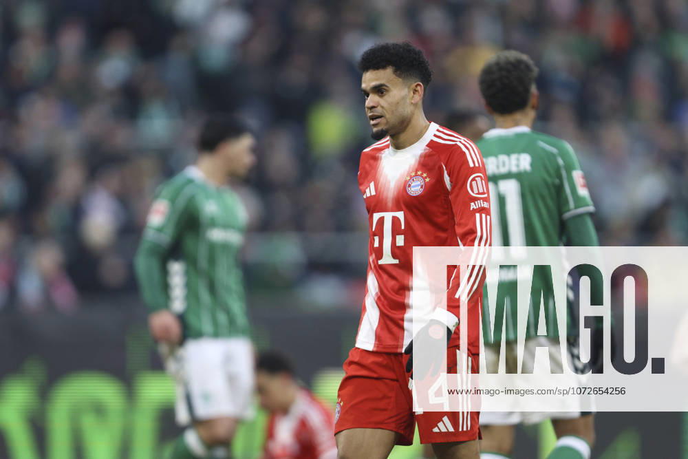 Luis Diaz FC Bayern München looks on during the Bundesliga match between SV Werder Bremen and FC Bayern München, Weserstadion on February 14, 2026 in Bremen, Germany Photo by Oliver Kaelke DeFodi Images Luis Diaz FC Bayern München looks on during the Bundesliga match between SV Werder Bremen and FC Bayern München at Weserstadion on February 14, 2026 in Bremen, Germany Photo by Oliver Kaelke DeFodi Images DFL regulations prohibit any use of photographs as image sequences and or quasi video Photo by Oliver Kaelke DeFodi Images