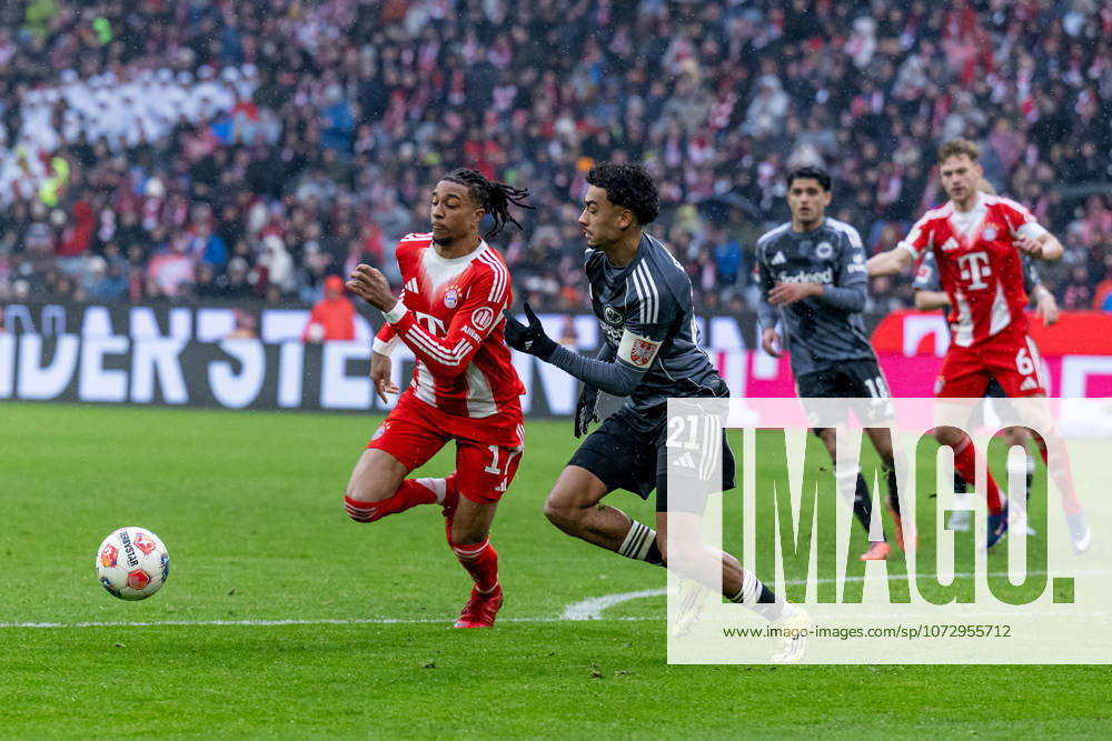 Fight for the ball duel between Michael Olise FC Bayern Muenchen, 17 and Nathaniel Brown SG Eintracht Frankfurt, 21 GER, FC Bayern Muenchen vs SG Eintracht Frankfurt, Football, Bundesliga, Matchday 23, Season 2025 2026, 21 02 2026 GER, FC Bayern Muenchen vs SG Eintracht Frankfurt, Football, Bundesliga, Matchday 23, Season 2025 2026, 21 02 2026 Muenchen