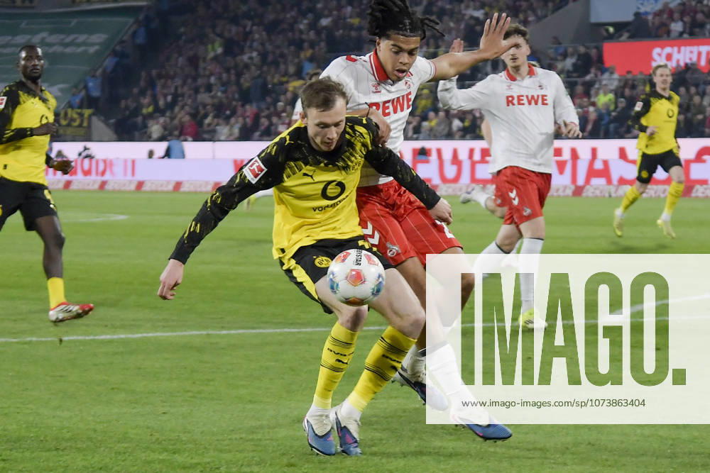 From left in duel Maximilian Beier Dortmund 14 Jahmai Simpson Pusey Koeln 22 07 03 2026¢ Football ¢ 1 FC Koeln vs Borussia Dortmund , Rheinenergiestadion, Koeln, DFB DFL REGULATIONS PROHIBIT ANY USE OF PHOTOGRAPHS AS IMAGE SEQUENCES AND OR QUASI VIDEO