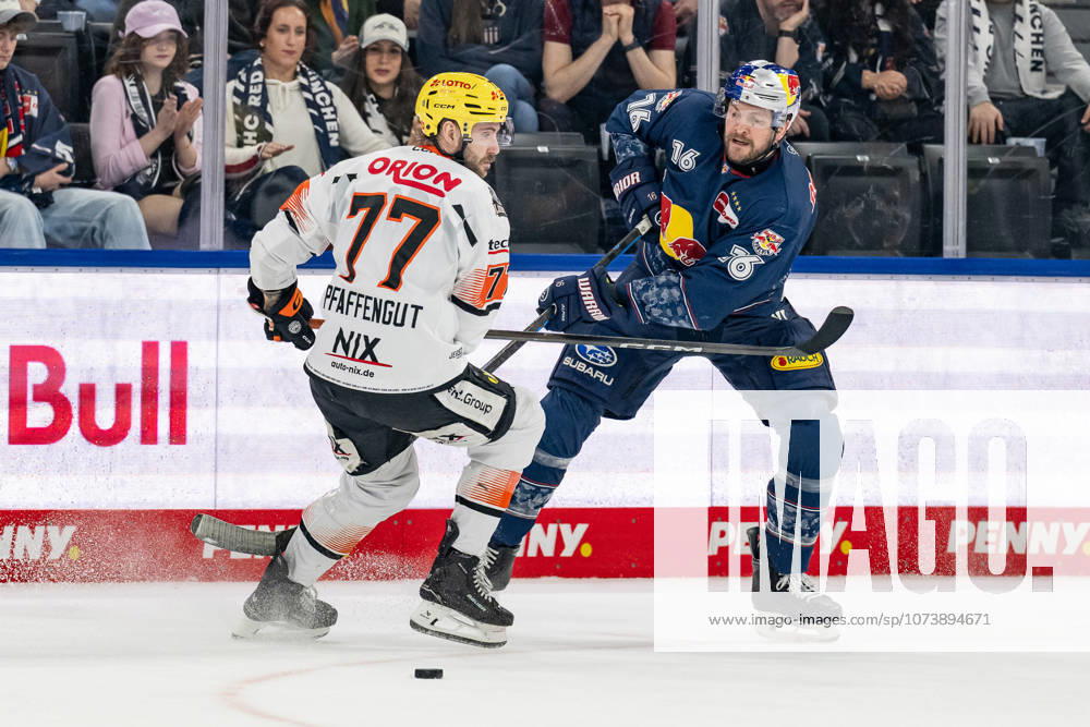 Fight for the puck duel between Daniel Pfaffengut Loewen Frankfurt, 77 and Konrad Abeltshauser EHC Red Bull Muenchen, 16 GER, EHC Red Bull Muenchen vs Loewen Frankfurt, Ice Hockey, DEL, Matchday 50, Season 2025 2026, 08 03 2026 GER, EHC Red Bull Muenchen vs Loewen Frankfurt, Ice Hockey, DEL, Matchday 50, Season 2025 2026, 08 03 2026 Muenchen