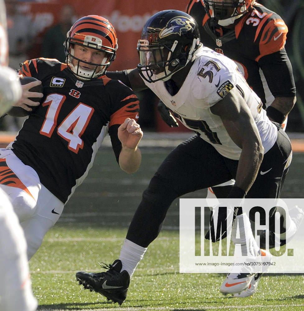 Oct. 26, 2014 - Cincinnati, OH, USA - Cincinnati Bengals quarterback Andy Dalton (14) goes into a slide in front of Baltimore Ravens inside linebacker C.J. Mosley (57) in the fourth quarter Sunday, Oct. 26, 2014 at Paul Brown Stadium in Cincinnati, Ohio. The Ravens fell to the Bengals 27-24.
