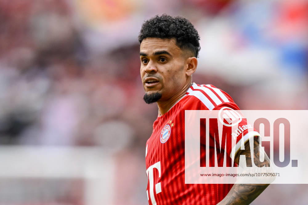 Luis Diaz FC Bayern München Looks on during the Bundesliga match between FC Bayern München and 1 FC Köln, Allianz Arena am 16 May 2026 in München, Germany Photo by Harry Langer DeFodi Images Luis Diaz FC Bayern München Looks on during the Bundesliga match between FC Bayern München and 1 FC Köln at Allianz Arena on May 16, 2026 in München, Germany Photo by Harry Langer DeFodi Images DFL regulations prohibit any use of photographs as image sequences and or quasi video Photo by Harry Langer DeFodi Images DFL regulations prohibit any use of photographs as image sequences and or quasi video