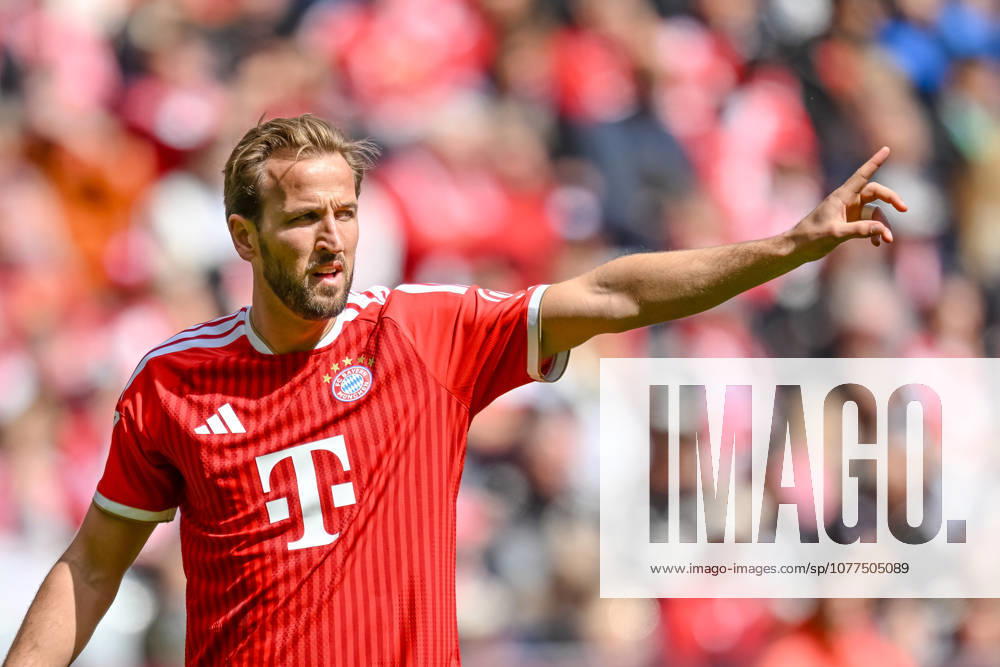 Harry Kane FC Bayern München gestures, gestures during the Bundesliga match between FC Bayern München and 1 FC Köln, Allianz Arena am 16 May 2026 in München, Germany Photo by Harry Langer DeFodi Images Harry Kane FC Bayern München gestures during the Bundesliga match between FC Bayern München and 1 FC Köln at Allianz Arena on May 16, 2026 in München, Germany Photo by Harry Langer DeFodi Images DFL regulations prohibit any use of photographs as image sequences and or quasi video Photo by Harry Langer DeFodi Images DFL regulations prohibit any use of photographs as image sequences and or quasi video