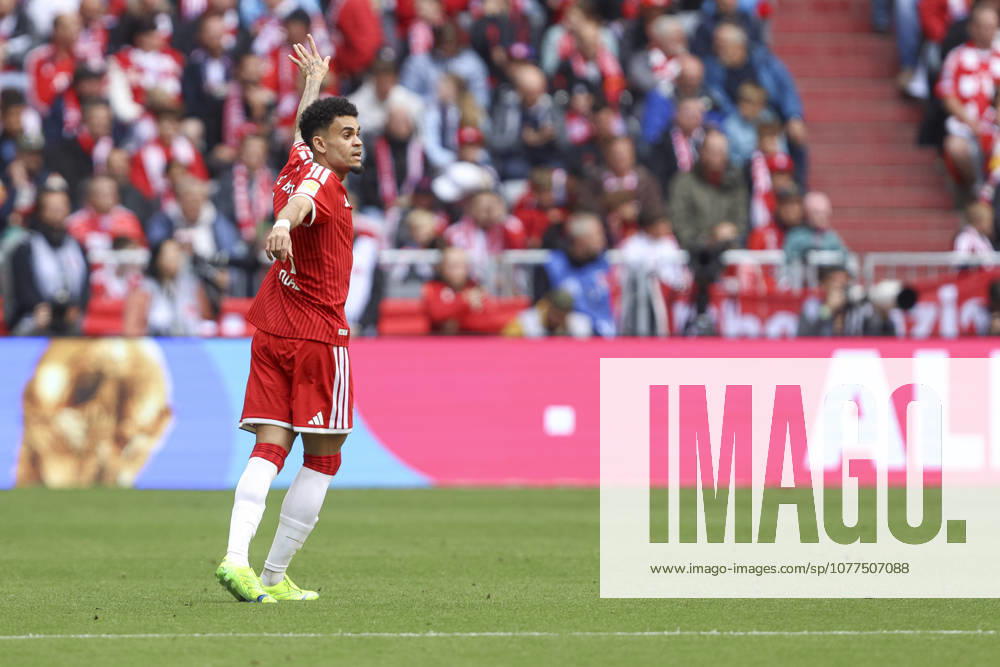 Luis Diaz FC Bayern Munich gestures, gestures during the Bundesliga match between FC Bayern Munich and 1 FC Köln, Allianz Arena on May 16, 2026 in Munich, Germany Photo by Oliver Kaelke DeFodi Images Luis Diaz FC Bayern Munich gestures during the Bundesliga match between FC Bayern Munich and 1 FC Köln at Allianz Arena on May 16, 2026 in Munich, Germany Photo by Oliver Kaelke DeFodi Images DFL regulations prohibit any use of photographs as image sequences and or quasi video Photo by Oliver Kaelke DeFodi Images