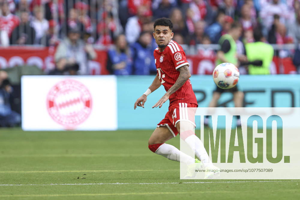 Luis Diaz FC Bayern München looks on during the Bundesliga match between FC Bayern München and 1 FC Köln, Allianz Arena on May 16, 2026 in Munich, Germany Photo by Oliver Kaelke DeFodi Images Luis Diaz FC Bayern München looks on during the Bundesliga match between FC Bayern München and 1 FC Köln at Allianz Arena on May 16, 2026 in Munich, Germany Photo by Oliver Kaelke DeFodi Images DFL regulations prohibit any use of photographs as image sequences and or quasi video Photo by Oliver Kaelke DeFodi Images