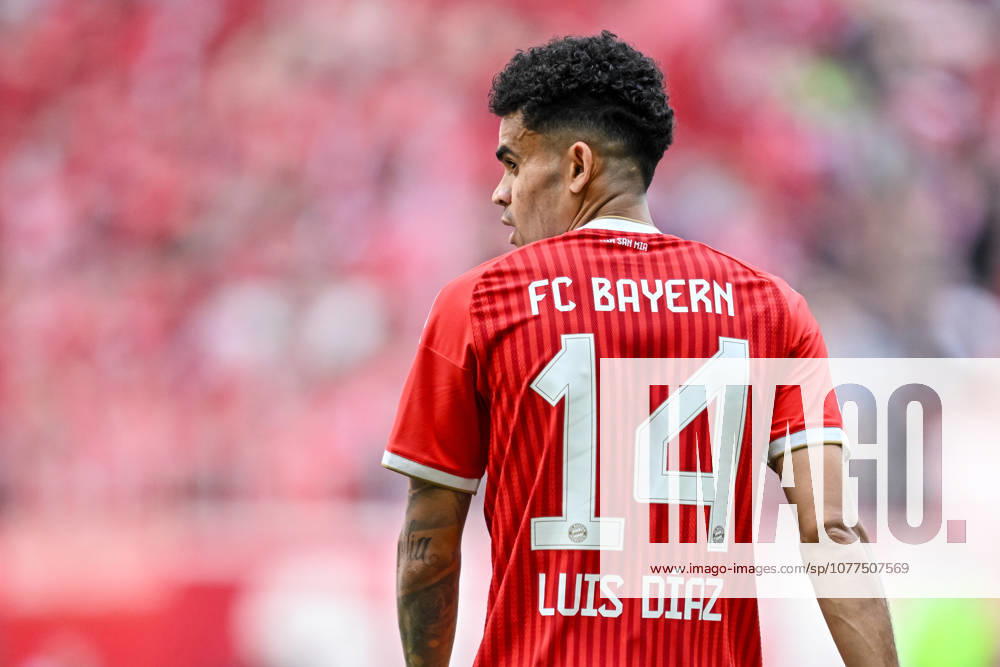 Luis Diaz FC Bayern München Looks on during the Bundesliga match between FC Bayern München and 1 FC Köln, Allianz Arena am 16 May 2026 in München, Germany Photo by Harry Langer DeFodi Images Luis Diaz FC Bayern München Looks on during the Bundesliga match between FC Bayern München and 1 FC Köln at Allianz Arena on May 16, 2026 in München, Germany Photo by Harry Langer DeFodi Images DFL regulations prohibit any use of photographs as image sequences and or quasi video Photo by Harry Langer DeFodi Images DFL regulations prohibit any use of photographs as image sequences and or quasi video