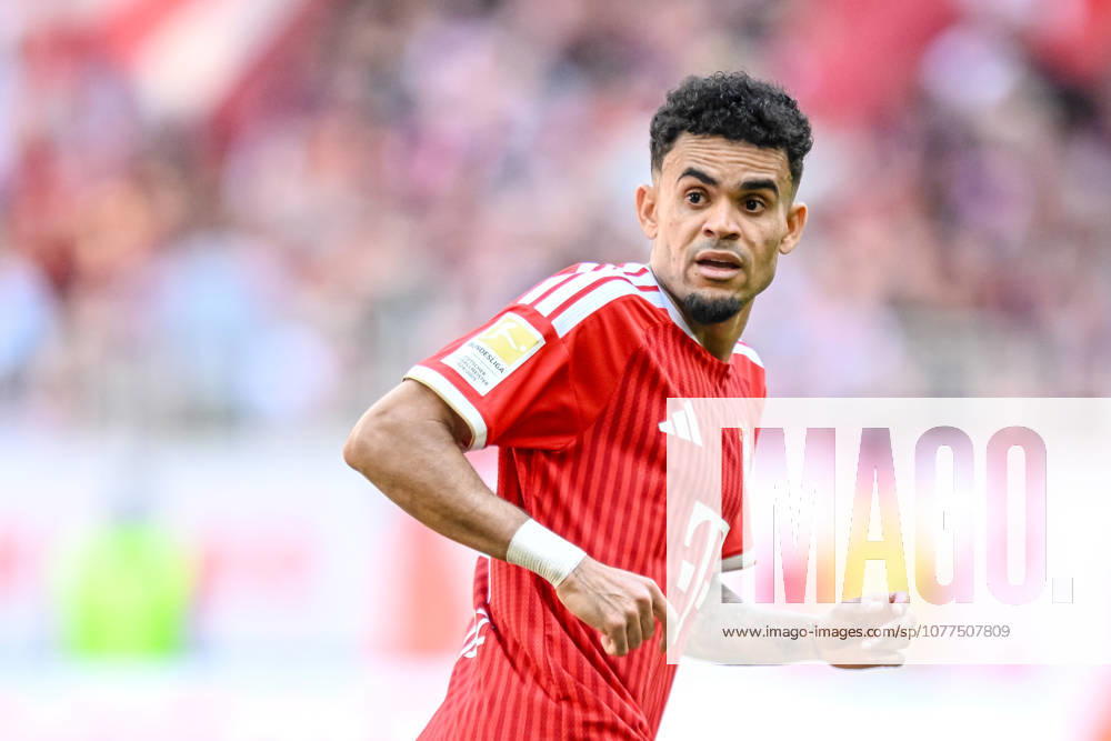 Luis Diaz FC Bayern München Looks on during the Bundesliga match between FC Bayern München and 1 FC Köln, Allianz Arena am 16 May 2026 in München, Germany Photo by Harry Langer DeFodi Images Luis Diaz FC Bayern München Looks on during the Bundesliga match between FC Bayern München and 1 FC Köln at Allianz Arena on May 16, 2026 in München, Germany Photo by Harry Langer DeFodi Images DFL regulations prohibit any use of photographs as image sequences and or quasi video Photo by Harry Langer DeFodi Images DFL regulations prohibit any use of photographs as image sequences and or quasi video