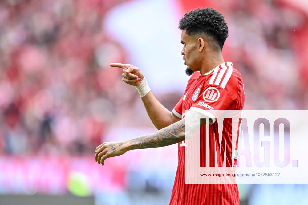 Luis Diaz FC Bayern München gestures, gestures during the Bundesliga match between FC Bayern München and 1 FC Köln, Allianz Arena am 16 May 2026 in München, Germany Photo by Harry Langer DeFodi Images Luis Diaz FC Bayern München gestures during the Bundesliga match between FC Bayern München and 1 FC Köln at Allianz Arena on May 16, 2026 in München, Germany Photo by Harry Langer DeFodi Images DFL regulations prohibit any use of photographs as image sequences and or quasi video Photo by Harry Langer DeFodi Images DFL regulations prohibit any use of photographs as image sequences and or quasi video