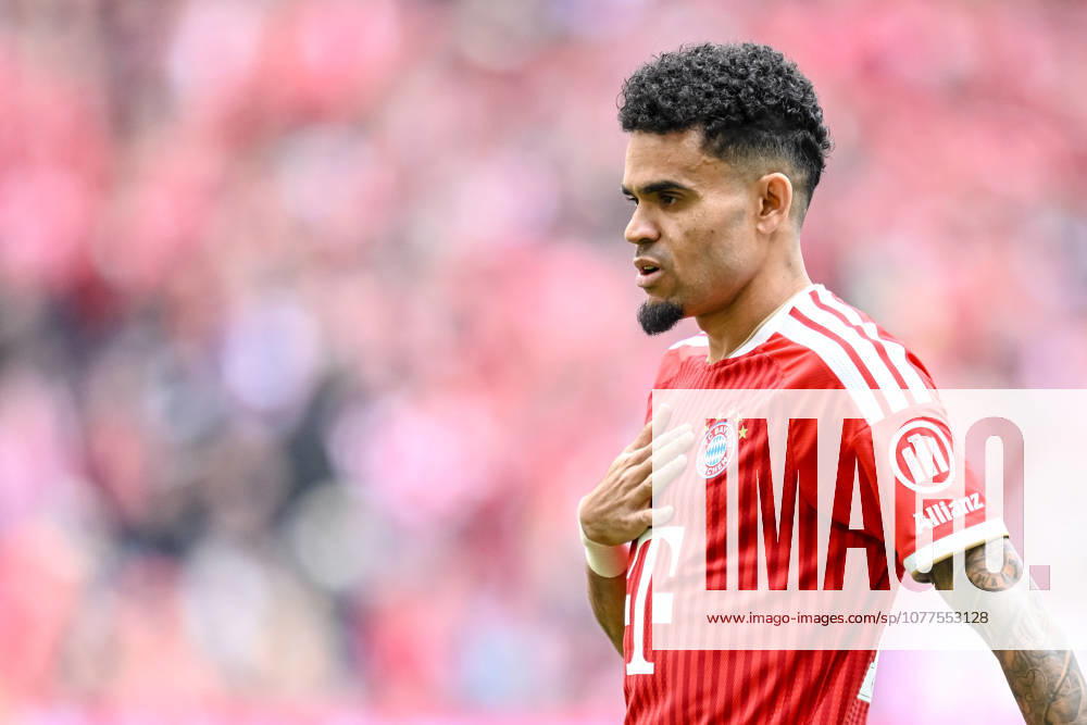 Luis Diaz FC Bayern München Looks on during the Bundesliga match between FC Bayern München and 1 FC Köln, Allianz Arena am 16 May 2026 in München, Germany Photo by Harry Langer DeFodi Images Luis Diaz FC Bayern München Looks on during the Bundesliga match between FC Bayern München and 1 FC Köln at Allianz Arena on May 16, 2026 in München, Germany Photo by Harry Langer DeFodi Images DFL regulations prohibit any use of photographs as image sequences and or quasi video Photo by Harry Langer DeFodi Images DFL regulations prohibit any use of photographs as image sequences and or quasi video