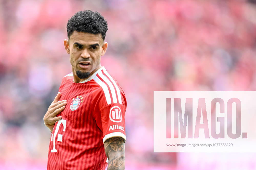 Luis Diaz FC Bayern München Looks on during the Bundesliga match between FC Bayern München and 1 FC Köln, Allianz Arena am 16 May 2026 in München, Germany Photo by Harry Langer DeFodi Images Luis Diaz FC Bayern München Looks on during the Bundesliga match between FC Bayern München and 1 FC Köln at Allianz Arena on May 16, 2026 in München, Germany Photo by Harry Langer DeFodi Images DFL regulations prohibit any use of photographs as image sequences and or quasi video Photo by Harry Langer DeFodi Images DFL regulations prohibit any use of photographs as image sequences and or quasi video