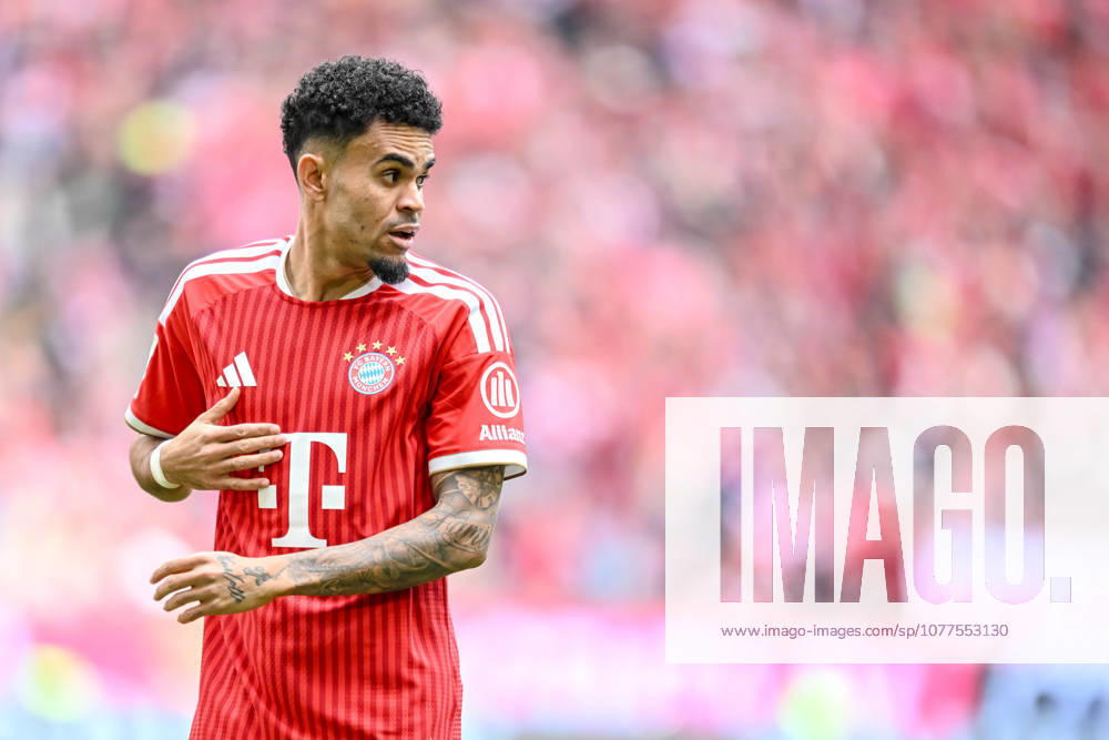 Luis Diaz FC Bayern München Looks on during the Bundesliga match between FC Bayern München and 1 FC Köln, Allianz Arena am 16 May 2026 in München, Germany Photo by Harry Langer DeFodi Images Luis Diaz FC Bayern München Looks on during the Bundesliga match between FC Bayern München and 1 FC Köln at Allianz Arena on May 16, 2026 in München, Germany Photo by Harry Langer DeFodi Images DFL regulations prohibit any use of photographs as image sequences and or quasi video Photo by Harry Langer DeFodi Images DFL regulations prohibit any use of photographs as image sequences and or quasi video