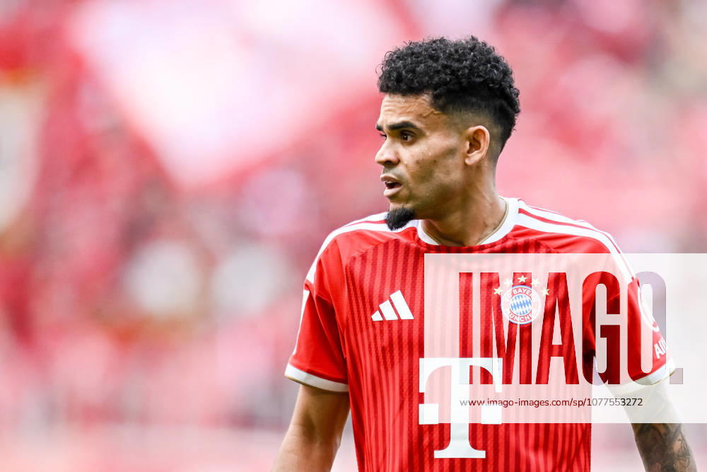 Luis Diaz FC Bayern München Looks on during the Bundesliga match between FC Bayern München and 1 FC Köln, Allianz Arena am 16 May 2026 in München, Germany Photo by Harry Langer DeFodi Images Luis Diaz FC Bayern München Looks on during the Bundesliga match between FC Bayern München and 1 FC Köln at Allianz Arena on May 16, 2026 in München, Germany Photo by Harry Langer DeFodi Images DFL regulations prohibit any use of photographs as image sequences and or quasi video Photo by Harry Langer DeFodi Images DFL regulations prohibit any use of photographs as image sequences and or quasi video